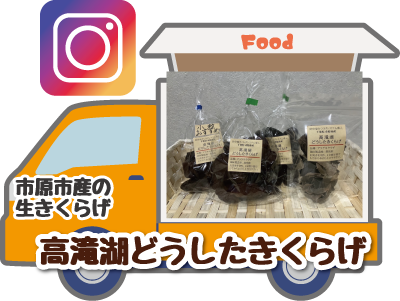 高滝湖どうしたきくらげ